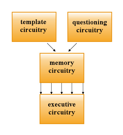 The block diagram of the neural components involved in deterministic learning.