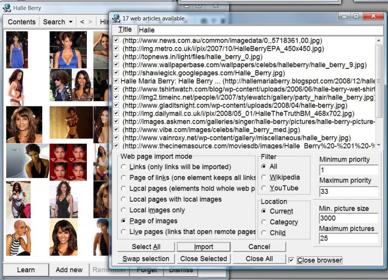 SuperMemo: Importing Halle Berry's pictures directly from the web