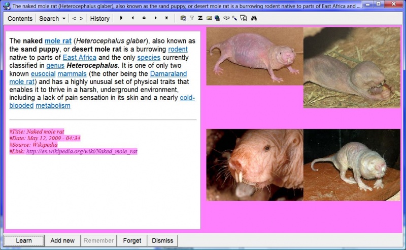 SuperMemo: Pasting four pictures of a naked mole rat into a single element