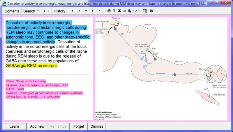 SuperMemo: References help you quickly recover the context of a given element as well as track its source and build a list of citations (in the picture: blue marks an incremental reading extract, yellow marks a search string (i.e. GABAergic REM-on neurons), while pink marks the reference field, which will propagate to all children elements (extracts and clozes))